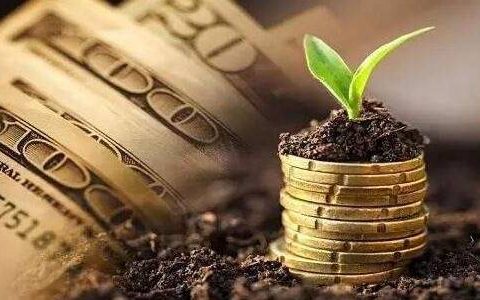 国际期货正规查询指南