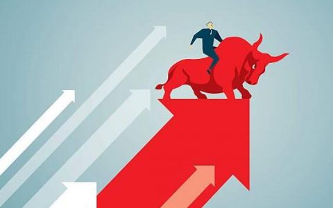 香港期货平台信息查询指南